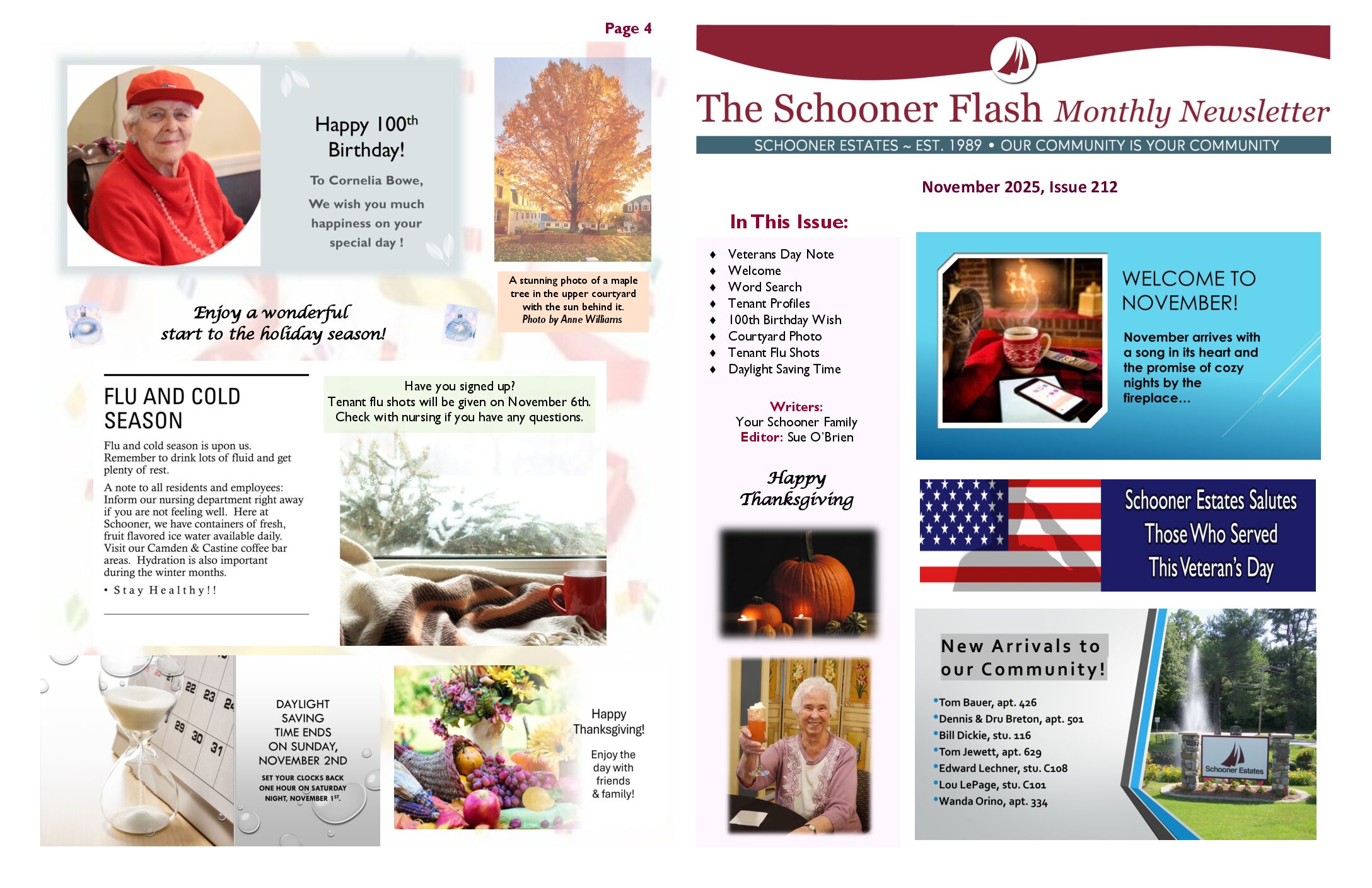 November 2025 Newsletter